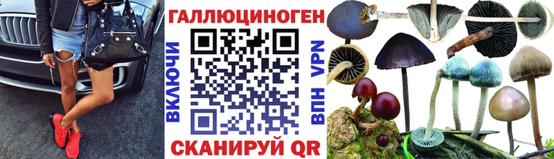Галлюциногенные грибы Psilocybine cubensis  закладки  ссылка на мегу tor  мориарти состав  Нарткала 